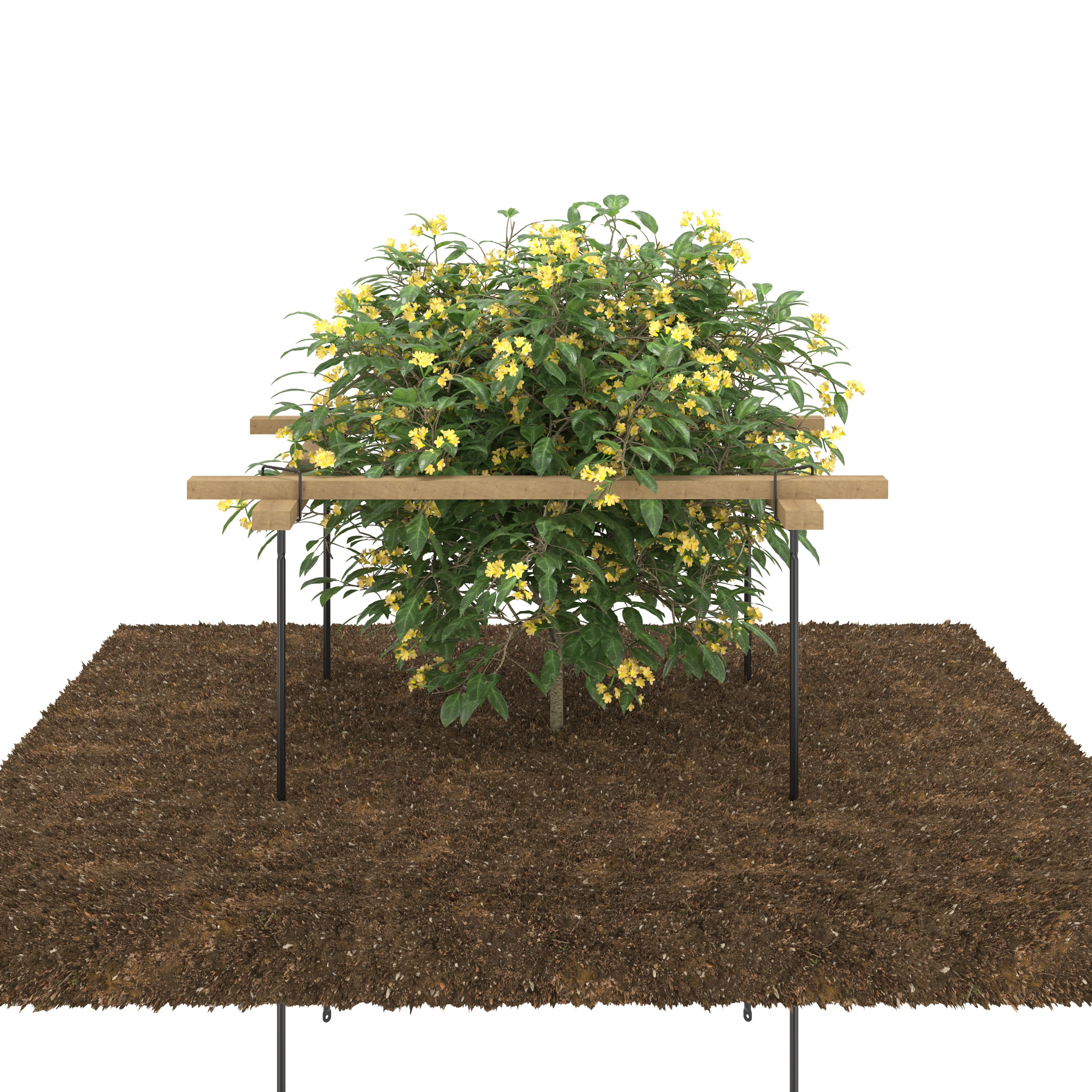 Универсальный кустодержатель 4